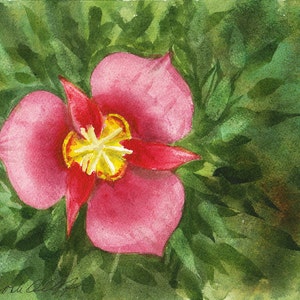 Utah Sego Lily, Watercolor Original, State Flower, Purple image 1