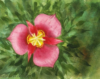 Utah Sego Lily, Watercolor Original, State Flower, Purple