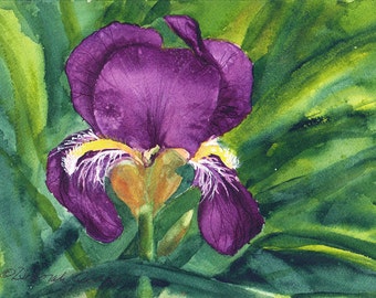 Tennessee Iris, Watercolor Original, State Flower, Purple