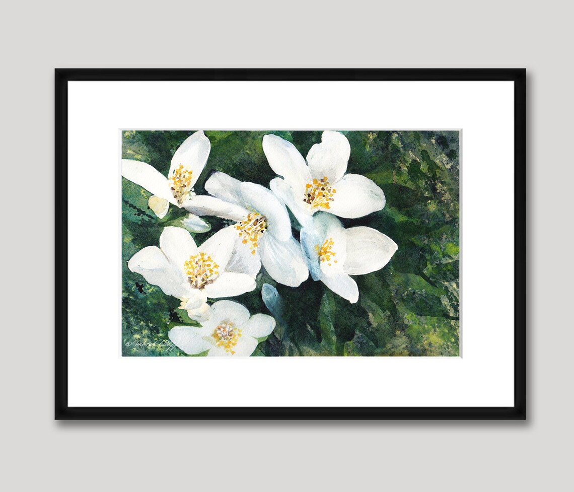 Idaho, Syringa Mock Orange, Watercolor Original, State Flower, Yellow ...
