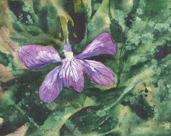 Rhode Island Violet, Watercolor Original, State Flower, Green, Purple