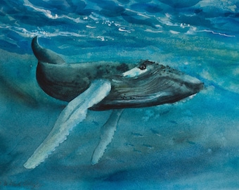 Humpback, Watercolor Print, Whale, Ocean, Sea, Marine-life, Blue, Underwater