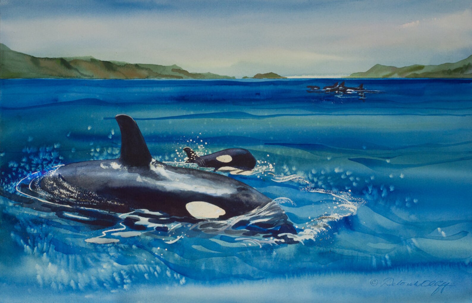 Orca Mom and Calf Watercolor Print Killer Whale Ocean Etsy