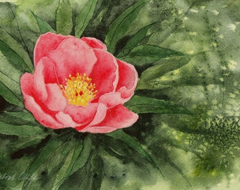 Indiana Peony, Watercolor Original, State Flower, Purple