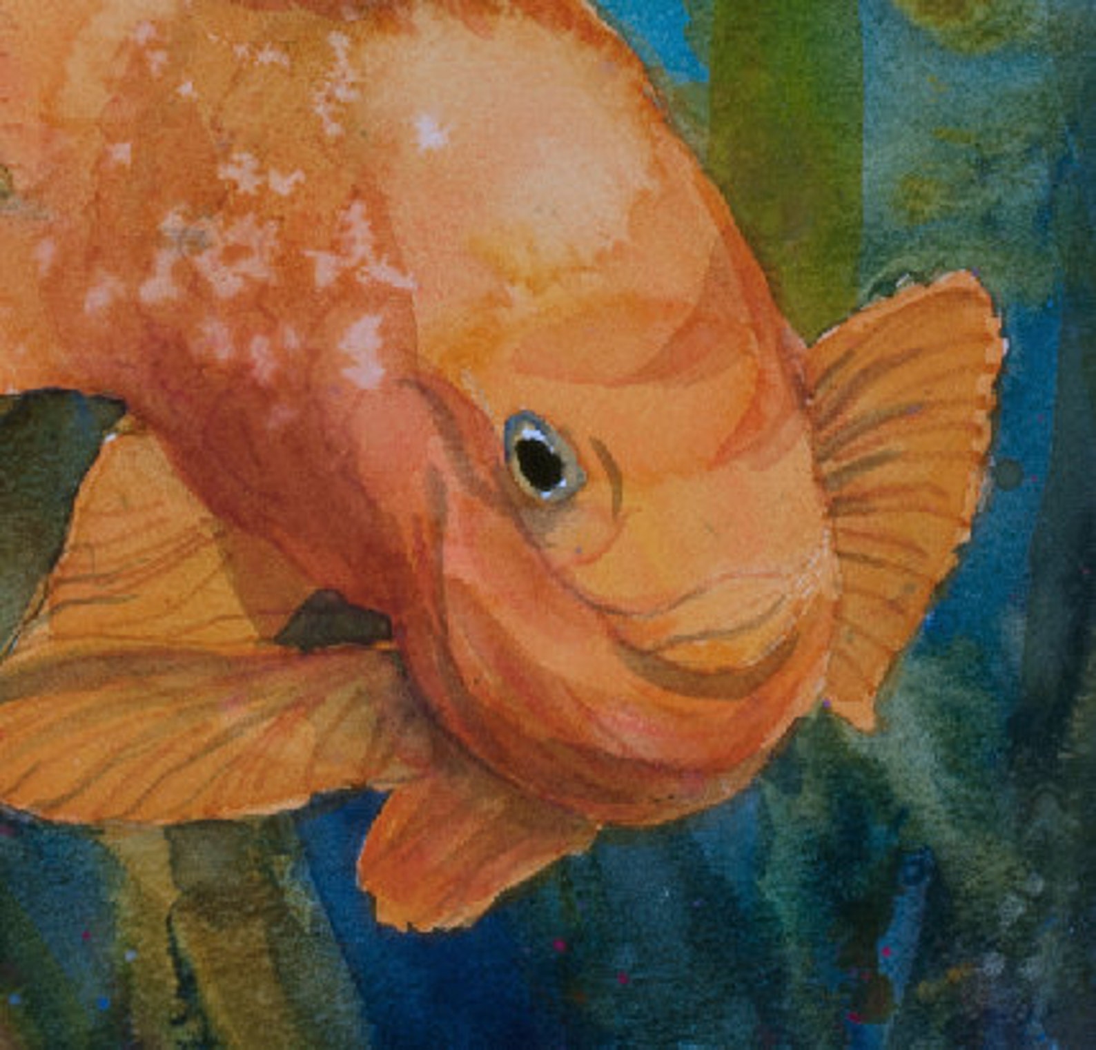 Garibaldi Family, Watercolor Print, Fish, Ocean, Sea, Marine-life ...