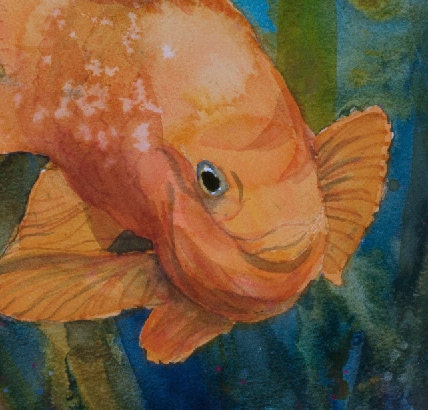 Garibaldi Family, Watercolor Print, Fish, Ocean, Sea, Marine-life ...