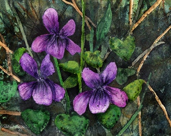 Illinois Viola, Watercolor Original, State Flower, Purple