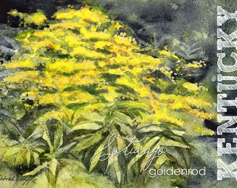 Kentucky, Watercolor ACEO, State Flowers, Goldenrod, Solidago, Yellow