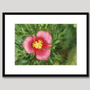 Utah Sego Lily, Watercolor Original, State Flower, Purple image 2