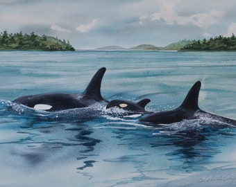 Hope, Watercolor, Giclée Print, Killer Whales, Pod, orcas, Southern Residents, San Juan Islands, Pacific Northwest,