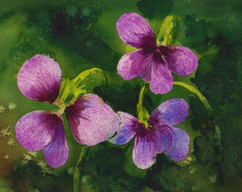 Wisconsin Violet, Watercolor Original, State Flower, Purple