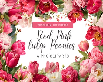Red Pink Tulip Peonies Flower Clipart Pack - Vibrant Floral Design Elements