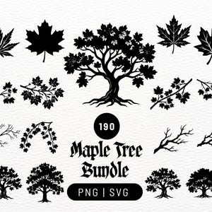 May include: A collection of black silhouette graphics featuring maple trees, individual leaves, and leafy branches. The central text reads 190 Maple Tree Bundle PNG | SVG, presented as a digital design set for various creative projects.