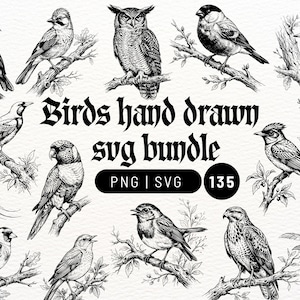 Peut inclure: Une collection d'illustrations d'oiseaux dessinées à la main en noir et blanc, représentant diverses espèces perchées sur des branches. Le texte central indique Birds hand drawn svg bundle PNG | SVG 135, dans une police gothique sur fond blanc.
