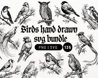 Paquete de 135 pájaros dibujados a mano - Archivo SVG, archivos PNG, pájaro americano, pájaro europeo, svg cricut