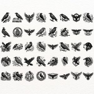 Puede incluir: Una colecci&oacute;n de cincuenta ilustraciones en blanco y negro que muestran cuervos en diversas posturas, incluyendo posados en ramas, volando e interactuando con calaveras, libros, llaves y elementos florales, presentados en una cuadr&iacute;cula sobre fondo blanco.