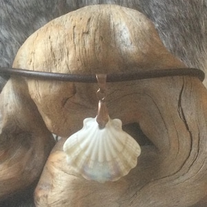 May include: A seashell pendant necklace. The pendant is a white and tan scallop shell with a copper-colored bail. The necklace has a dark brown leather cord. The background is a piece of driftwood.