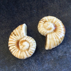 Set of 2 cream glazed caramel wash porcelain nautilus bead, large heavy bead for 3mm macrame cord,heavy statement necklace focal unique OOAK