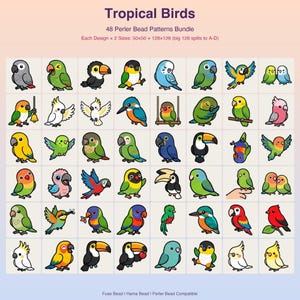 Pacchetto di 48 modelli di uccelli tropicali da realizzare con perline Perler (download digitale in PDF)