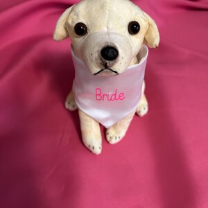 Weddings, Bride, Pet Scrunchie Bandanas, Pet  accessories, special occasions ,Pet neckwear,XS.