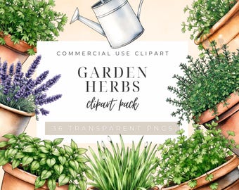Clipart d'herbes, herbes du jardin, herbes de cuisine aquarelle PNG, imprimable plantes médicinales, téléchargement numérique pour travaux manuels et journaux - BB-HC001