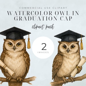 Graduation Owl Clipart, Owl PNG, Graduation Party, Graduation Owl Cap, High Quality PNGs, Students, Commercial Use - BB -S004