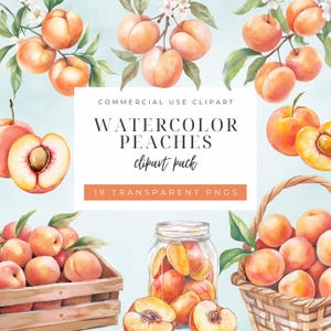 Puede incluir: Paquete de imágenes prediseñadas de acuarela con melocotones maduros. La imagen incluye melocotones en ramas, en una caja de madera, un tarro de cristal y una cesta de mimbre. El texto dice "Watercolor Peaches clipart pack" y "19 Transparent PNGs".