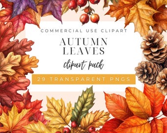 Autumn Leaves Clipart, Fall Leaves Clipart, Maple, Oak, Elm, Birch, Rowan, Acorns, Rosehip Berry, Autumn Illustration, Fall Foliage BB-CA003