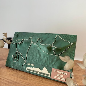 Carte 3D avec altimétrie. Cyclisme, trail ou course à pied. GPX.