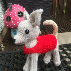 Chico the Chihuahua Knitting Pattern