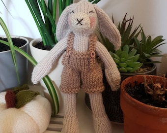 May include: A knitted bunny toy wearing brown overalls. The bunny has a pink nose and pink cheeks. The bunny is sitting on a white surface with plants in the background.