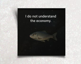 Não entendo a economia. Adesivo de peixe, adesivo de vinil engraçado com meme de humor bobo / para uso interno e externo.