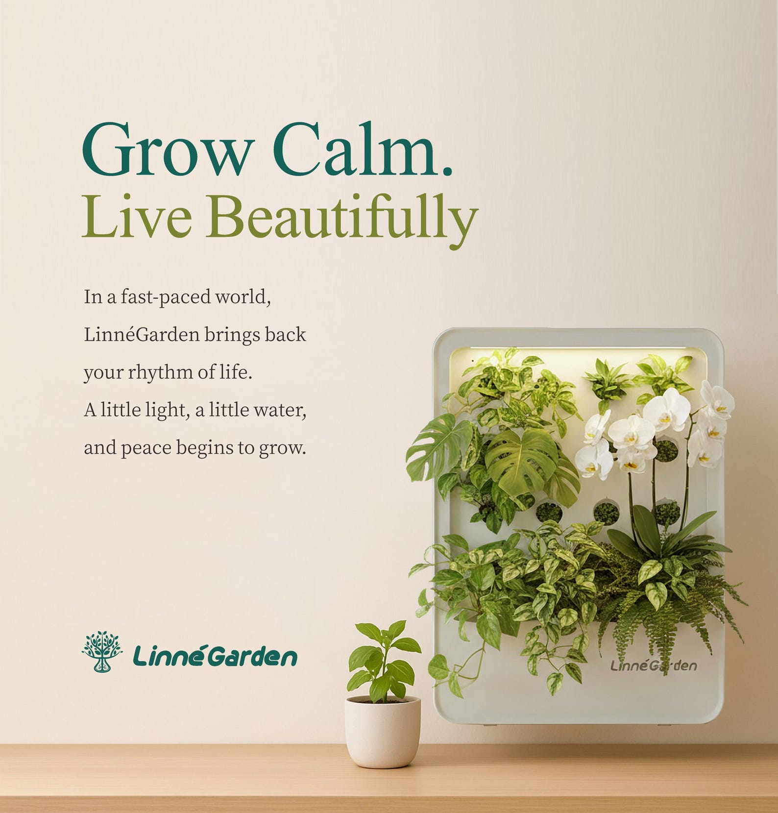 Smart Living Wall Art | Vertical Hydroponic Garden Indoor | Music Sync LED Grow Light | Unique Tech Gift for Men Dad | Kitchen Herb Kit