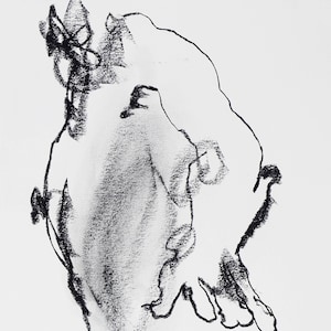ドローイング 木炭画 il_fullxfull.687472676_3vma.jpg