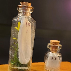 May include: Two clear glass bottles with cork stoppers. One bottle contains a white ghost figure with brown eyes, and the other contains a smaller ghost figure. The bottles are decorated with greenery. A lit candle is in the background.