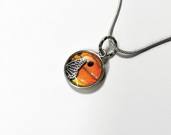 Iridescent pendant, real butterfly wing jewelry, sunset moth, unique gifts for her, resin pendant, necklace included