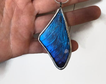 Blue pendant, iridescent, butterfly jewelry, glass necklace, real blue Morpho butterfly, stained glass wing