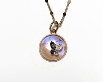 Real Butterfly pendants