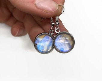 Handmade Iridescent blue dangle earrings, butterfly wing jewelry, real Sulkowskyi morpho, unique gifts for mom