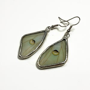 Real luna moth earrings, unique gifts for her, butterfly wing jewelry, glass dangle earrings