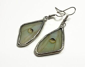 Real luna moth earrings, unique gifts for her, butterfly wing jewelry, glass dangle earrings