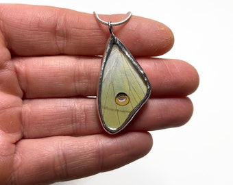 Butterfly necklace, Luna moth pendant, insect pendant, real moth wing, glass pendant, butterfly taxidermy, stained glass butterfly