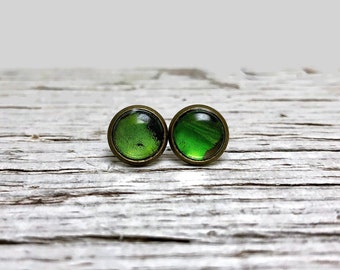 Real Butterfly earrings, green, butterfly jewelry, round glass earrings, insect jewelry, hypoallergenic, bronze studs