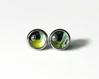 Green and blue round glass stud earrings Real butterfly wing jewelry Best friend gifts 10mm hypoallergenic