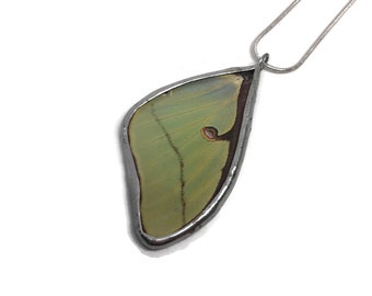 Real Butterfly Wing pendant Luna moth unique gifts for her glass pendant chain included