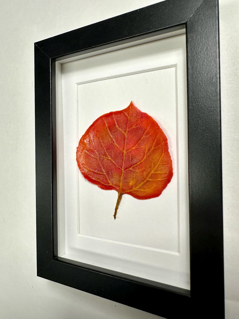 May include: A framed pressed leaf art piece featuring a single, vibrant red and orange leaf with intricate veins. The leaf is mounted on a white background and framed in a black frame.