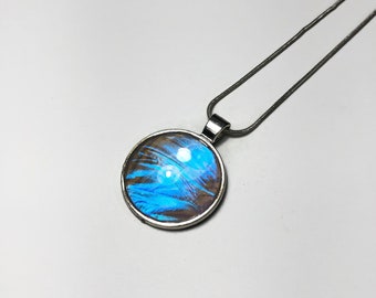 Blue iridescent pendant butterfly jewelry sulkowskyi Morpho butterfly real butterfly wing insect jewelry glass chain included friends gifts