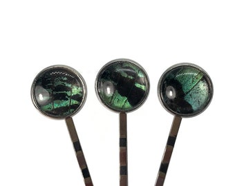 Green hair barrettes glass bobby pins, set of 3 clips, real butterfly wing, hair jewelry, unique friends gifts, sunset moth