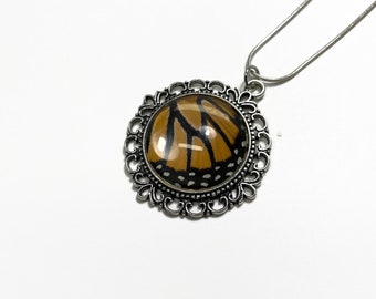 Orange and black Monarch Butterfly necklace, round glass pendant, recycled necklace, real butterfly wing, insect jewelry, chain included