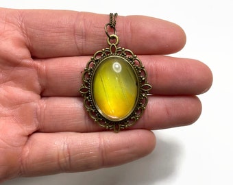 Yellow butterfly pendant, oval bronze glass necklace, handmade real butterfly wing jewelry, unique gifts, chain included